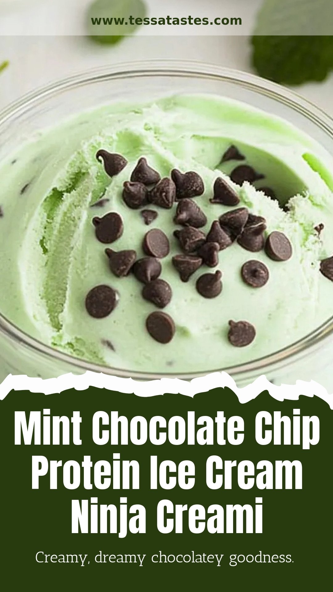 Mint Chocolate Chip Protein Ice Cream Ninja Creami