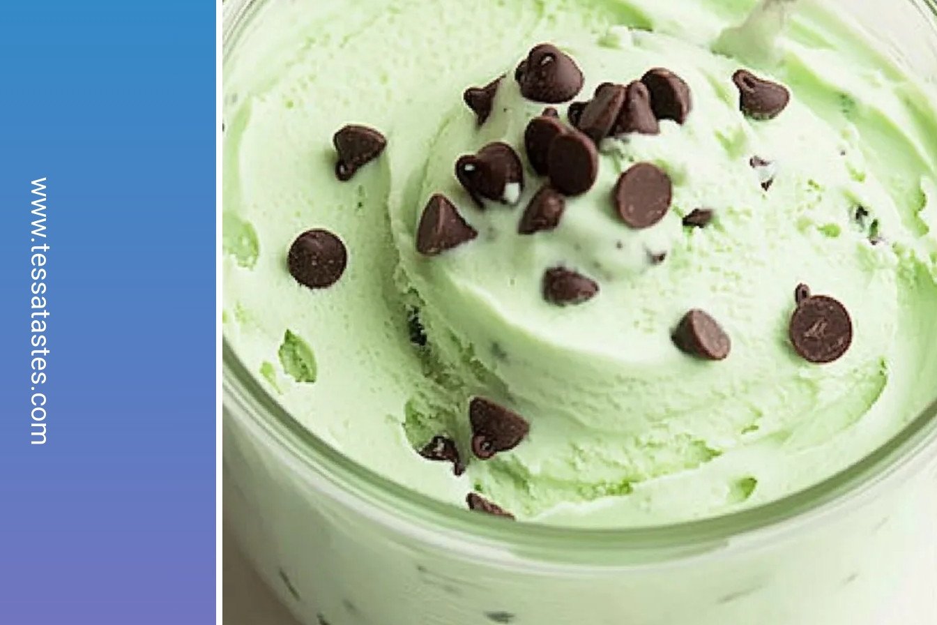 Mint Chocolate Chip Protein Ice Cream Ninja Creami: Creamy, dreamy chocolatey goodness.