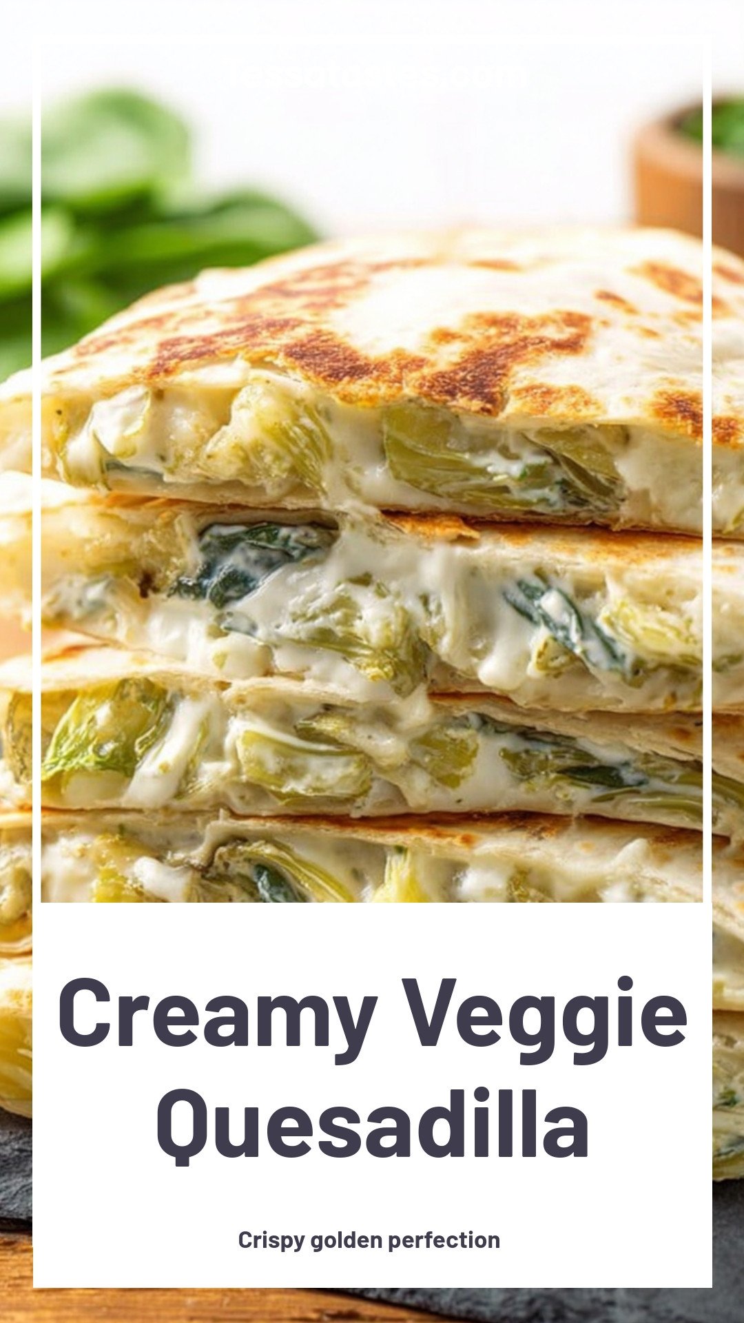 Creamy Veggie Quesadilla