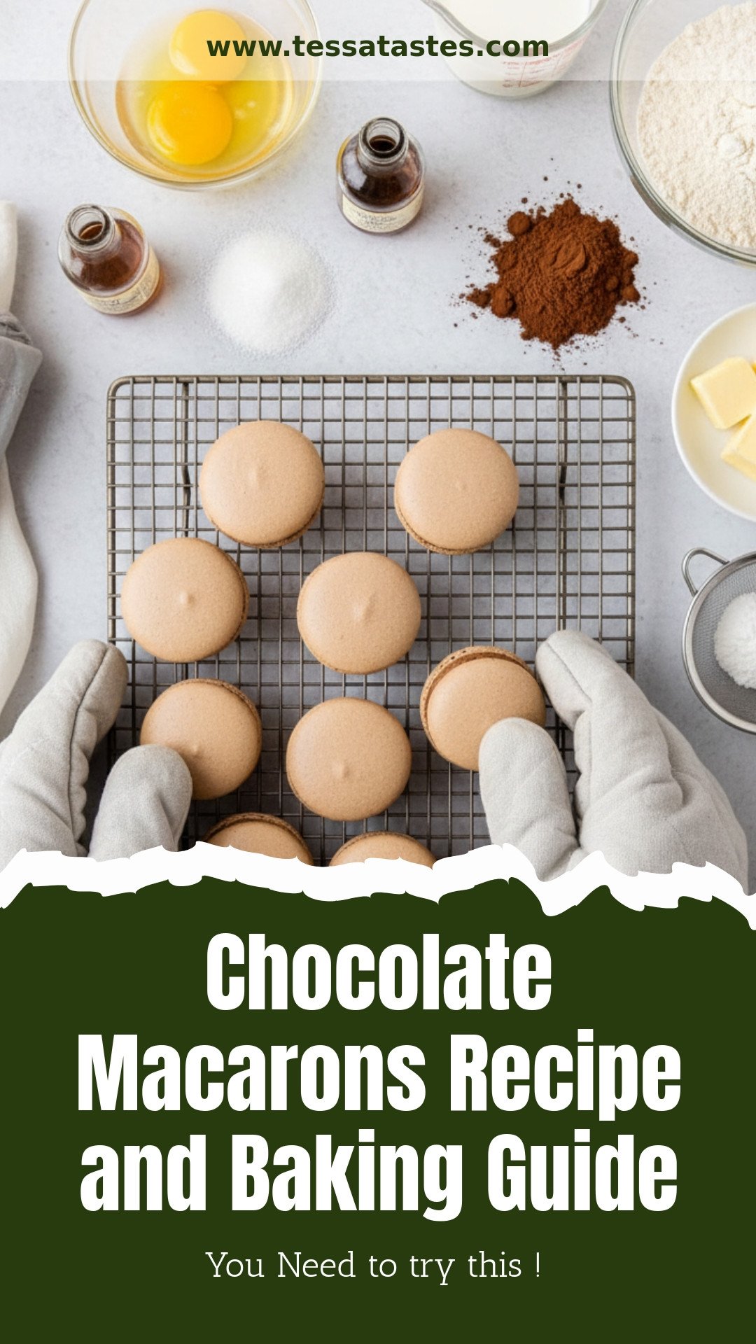 Chocolate Macarons Recipe and Baking Guide