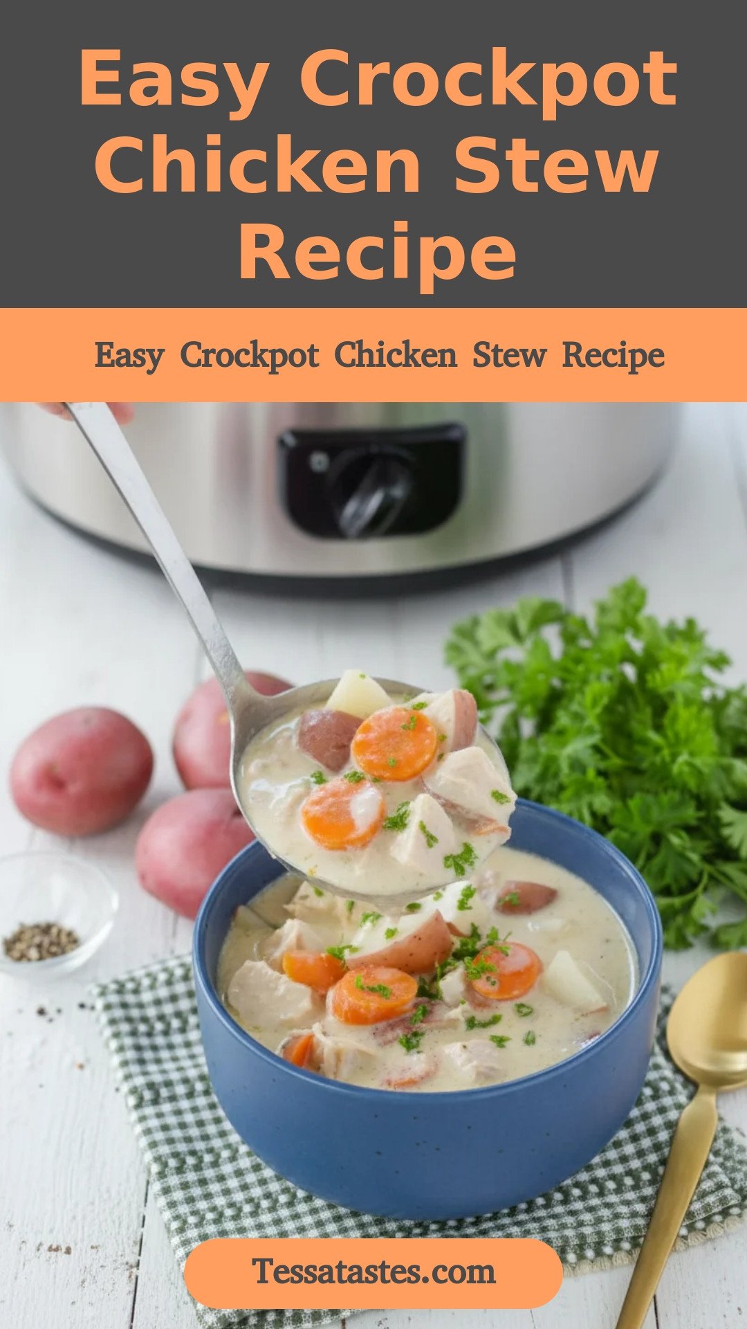 Easy Crockpot Chicken Stew Recipe