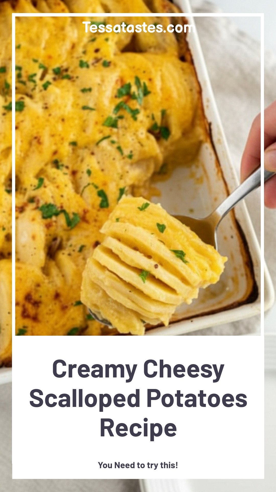 Cheesy Scalloped Potatoes