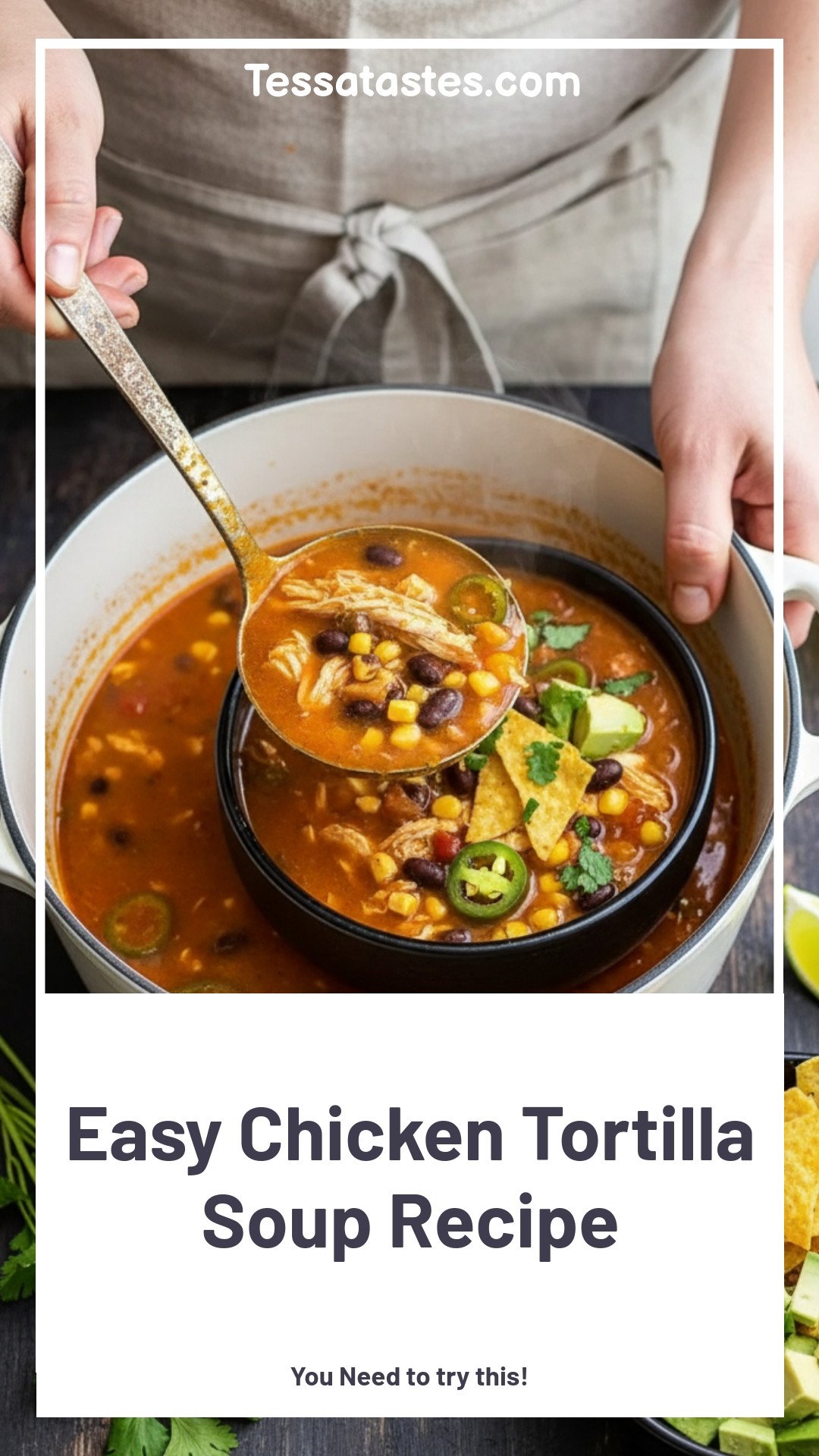 Easy Chicken Tortilla Soup Recipe